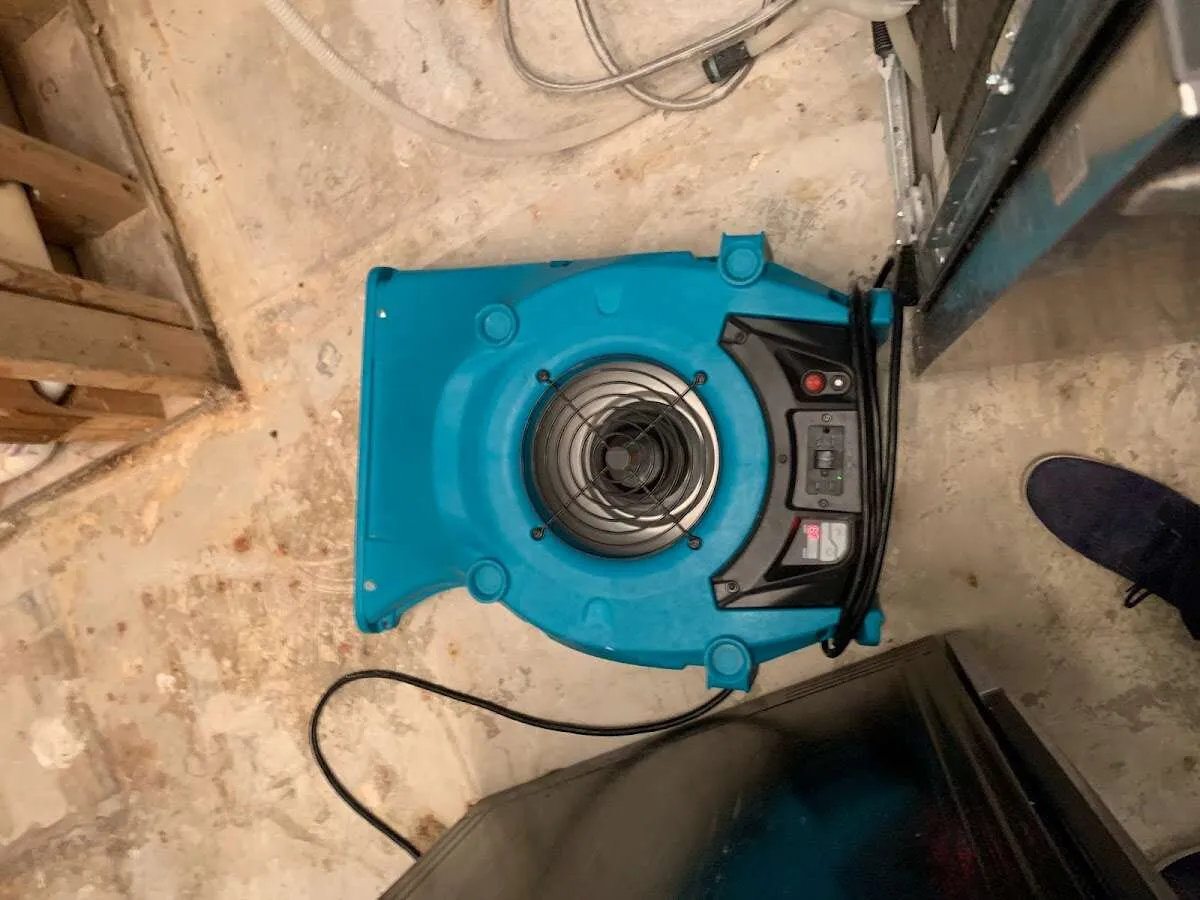 Air mover drying equipment for Mold Remediation & Removal in Yucca Valley